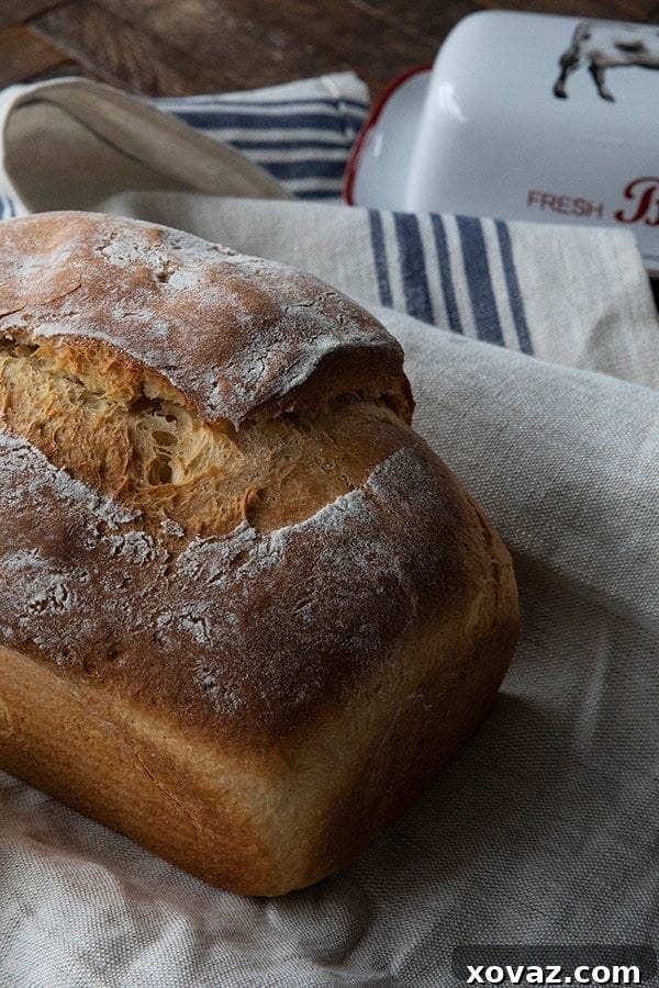 A freshly baked loaf of One Hour Sandwich Bread, golden brown and inviting. This easy bread recipe is ready in just one hour!