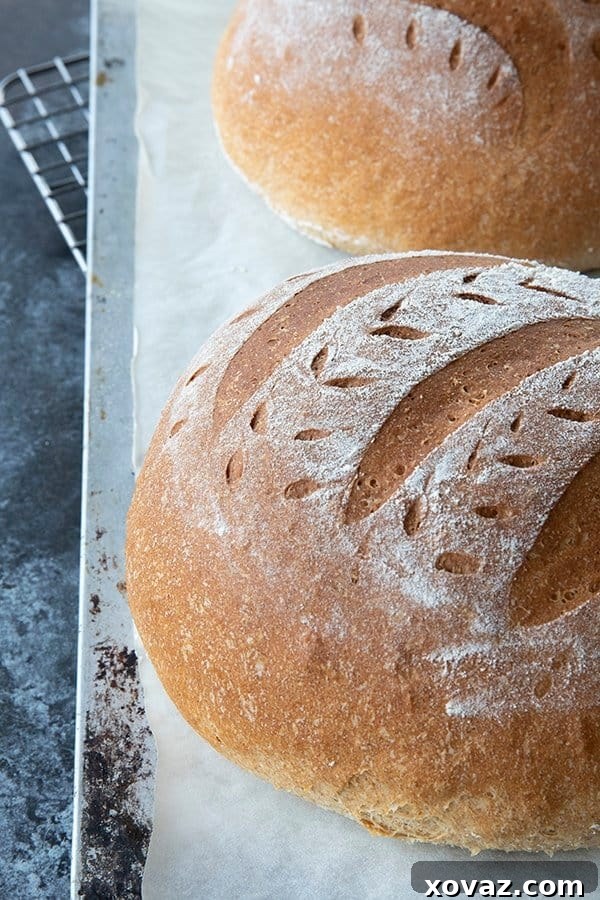 Another view of the delicious homemade sandwich bread, highlighting its perfect crust and appealing texture. An easy bread recipe for any occasion.