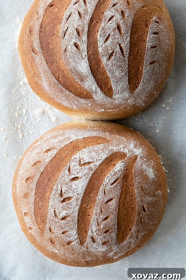 Another view of the baked One Hour Bread, highlighting its appealing golden-brown crust. A quick and easy way to enjoy fresh homemade bread.