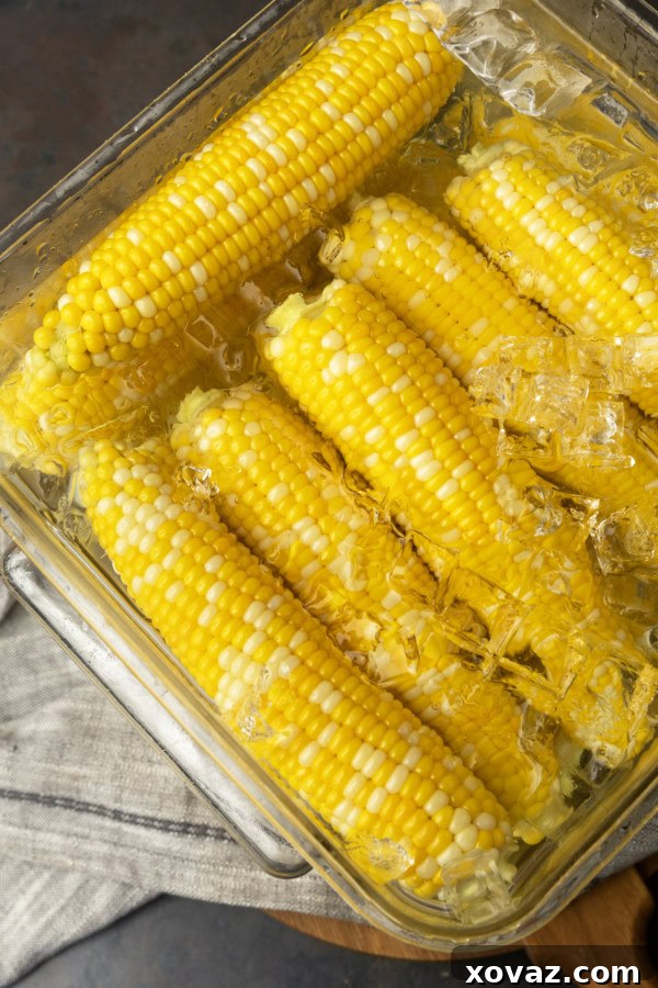 Preserving Sweet Corn for Winter 8 Blanched sweet corn floating in a large ice water bath, creating a refreshing visual