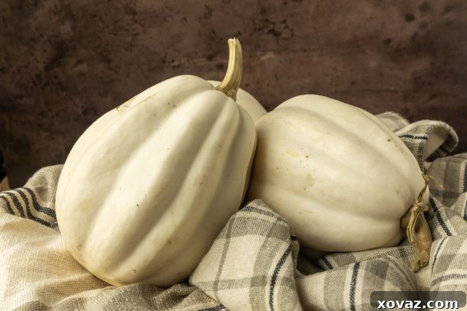 mashed potato squash a.k.a. white acorn squash