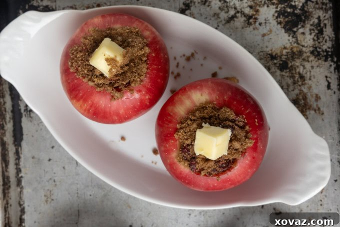 Homestyle Baked Apples 4 apples stuffed with brown sugar, butter, and dried cranberries in ramekins