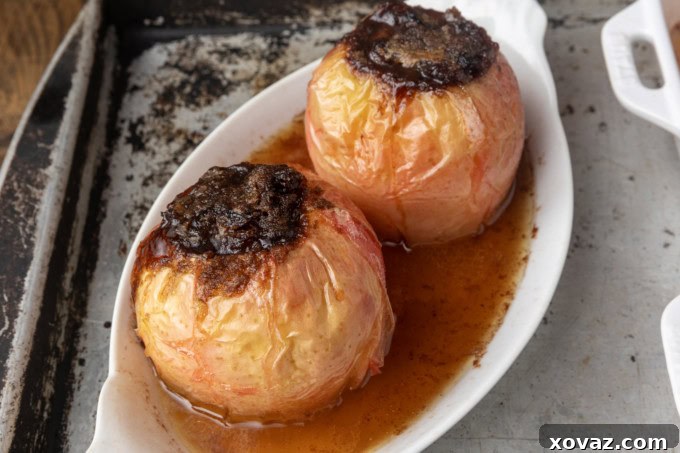 Homestyle Baked Apples 5 baked apples stuffed with brown sugar, butter, and dried cranberries in ramekins