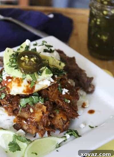 Hot TexMess dish, a vibrant plate piled high with a mix of ingredients.