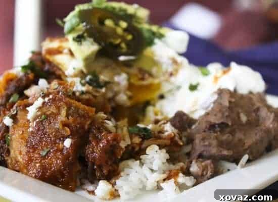 The finished Hot TexMess dish, ready to be enjoyed, garnished with fresh cilantro and lime.