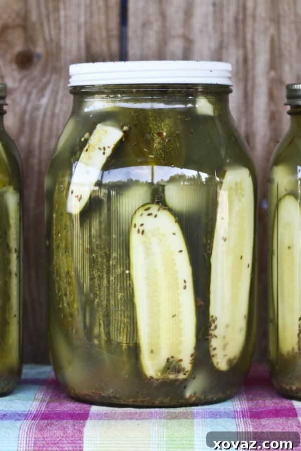 n Pickles are kosher dill pickles at their crunchiest, saltiest best! These homemade Claussen pickles taste like the commercial ones you find at the store, but better. And better yet, they're ridiculously easy to make!
