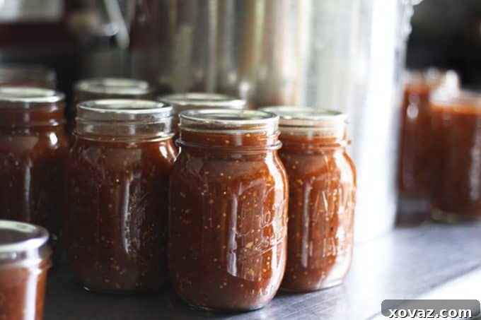 Ember Roasted Salsa 2 Delicious Smoky Roasted Salsa served with tortilla chips, showcasing its vibrant color and smooth texture.