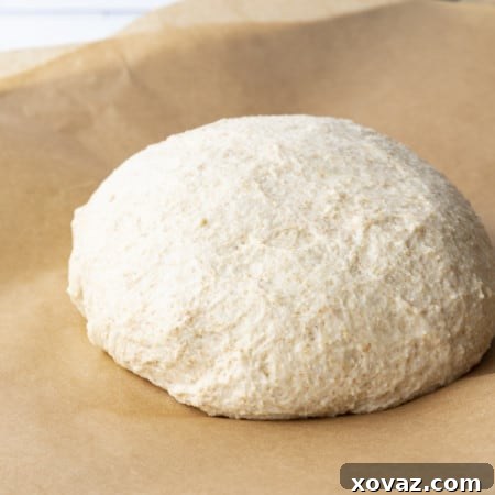 Easy No-Knead Whole Wheat Pizza Dough 10 This whole wheat pizza dough yields our family's favourite pizza crust; crispy and chewy, flavourful crust that holds up to anything you put on it.