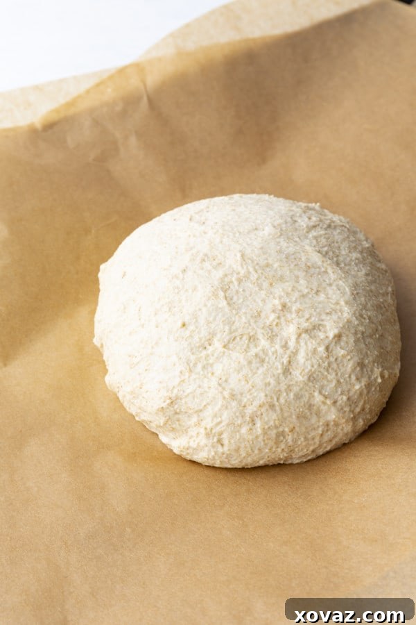 Easy No-Knead Whole Wheat Pizza Dough 2 This whole wheat pizza dough yields our family's favourite pizza crust; crispy and chewy, flavourful crust that holds up to anything you put on it. A close-up shot of the perfectly textured dough.