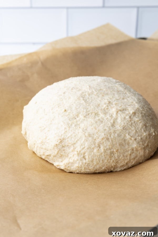 Easy No-Knead Whole Wheat Pizza Dough 5 This whole wheat pizza dough yields our family's favourite pizza crust; crispy and chewy, flavourful crust that holds up to anything you put on it. A slice of homemade pizza on a golden whole wheat crust.