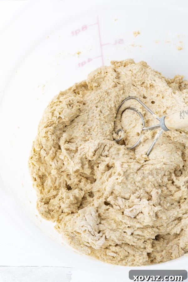 Easy No-Knead Whole Wheat Pizza Dough 6 The perfectly mixed whole wheat pizza dough, just after combining all ingredients, showing its initial texture.