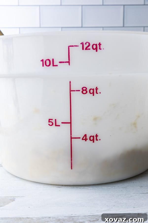 Easy No-Knead Whole Wheat Pizza Dough 7 Whole wheat pizza dough just after mixing, showing its unrisen state.