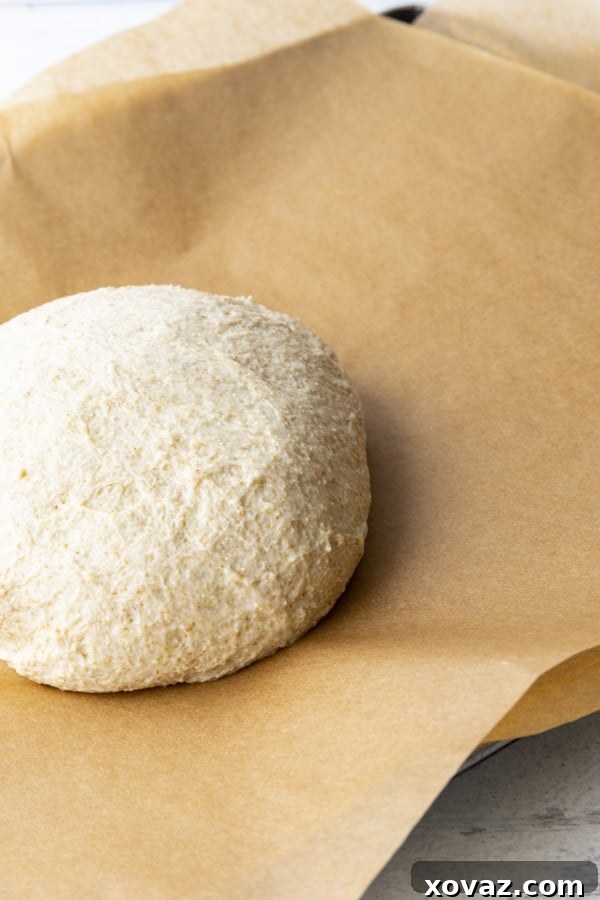 Easy No-Knead Whole Wheat Pizza Dough 9 This whole wheat pizza dough yields our family's favourite pizza crust; crispy and chewy, flavourful crust that holds up to anything you put on it. A formed dough ball, ready for baking or freezing.