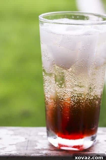 Close-up of a chilled two-wine spritzer with ice, garnished minimally, in a simple glass jar.