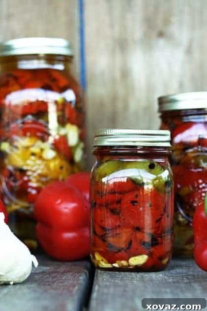 Roasted Red Peppers in Garlic Olive Oil Beautifully roasted red bell peppers submerged in garlic-infused olive oil in a glass jar.
