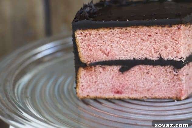 Close-up of a slice of Chocolate Covered Strawberry Cake showing layers and ganache