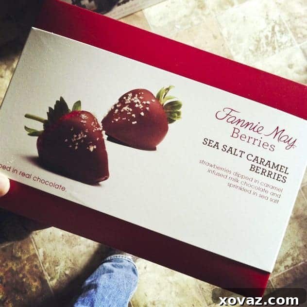Fannie May Berries Fannie May Gourmet Chocolate Covered Strawberries in Box