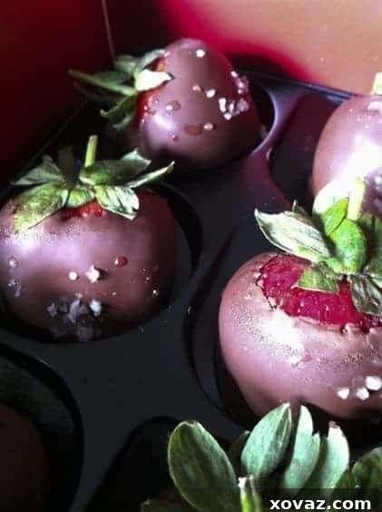 Open Box of Fannie May Chocolate Covered Strawberries Freshly Opened Box of Fannie May Milk Chocolate Covered Strawberries