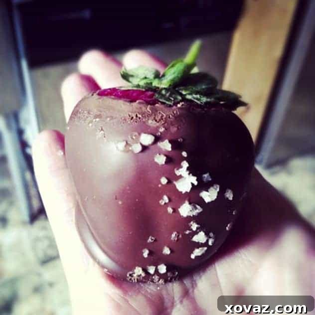 Massive Fannie May Chocolate Covered Strawberry Close-up of a Gigantic Fannie May Sea Salt Milk Chocolate Caramel Covered Strawberry