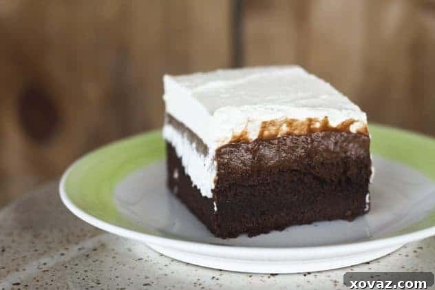 Chocolate Tres Leches Cake topped with whipped cream and strawberry sauce, ready to serve