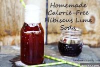 Guilt-Free Homemade Hibiscus Lime Fizz with Stevia