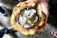 Fathom’s Dominican Republic Escape