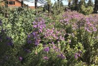 Where the Falls Meet the Plains