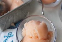 Zesty Journeys and Caribbean Princess Escapades