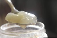 Mastering Chicken Stock: Classic Foundations and Asian Infusions