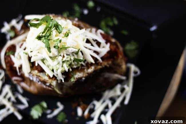 Midwestern Taco Loaded Potatoes 3 A vibrant close-up of a fully loaded Midwestern Taco with diverse toppings.
