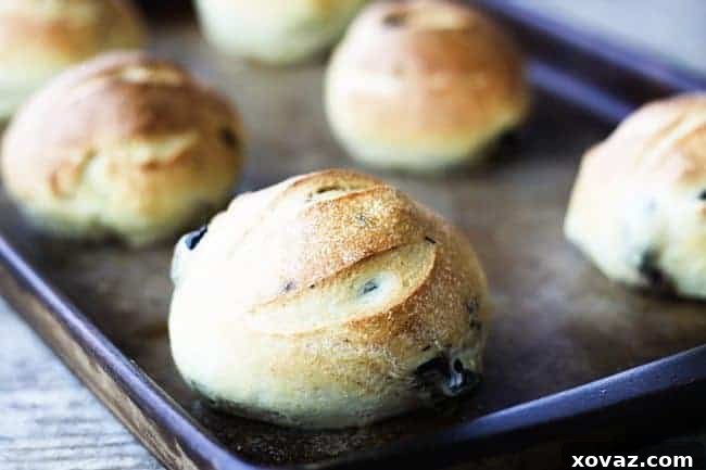 Rustic Black Olive Rolls 2 Flavorful Black Olive Sandwich Rolls from Foodie with Family