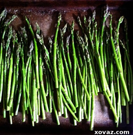 Savory French Roasted Asparagus, Tuna and Hardboiled Egg Sandwiches 3 Perfectly Roasted Asparagus Spears for Sandwiches