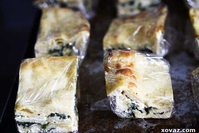 Monday Made Easy: Roasted Garlic Spinach Alfredo Lasagna 5 Close-up of individually portioned Roasted Garlic Spinach Alfredo Lasagna, neatly prepared for long-term freezer storage.