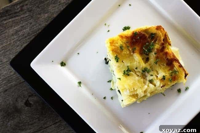 Monday Made Easy: Roasted Garlic Spinach Alfredo Lasagna 6 A freshly baked slice of Roasted Garlic Spinach Alfredo Lasagna, golden brown and bubbly, ready to be enjoyed.