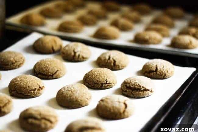 Peanut Butter Molasses Ginger Cookies with rich, spiced flavor