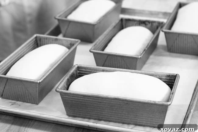 King Arthur Flour: Baking & Beyond 23 Group instruction on bread baking fundamentals at King Arthur Flour