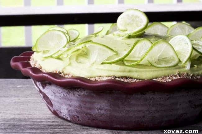 This beautiful, creamy, indulgent, lemon-lime, mile-high, icebox pie just so happens to be good for you. How is that possible? It's also friendly for a wide-range of dietary restrictions because it is gluten-free, dairy-free, grain-free, sugar-free and raw. With one minor adjustment it is also vegan-friendly. Ever so slightly adapted recipe courtesy of my friend Joy Hinterkopf