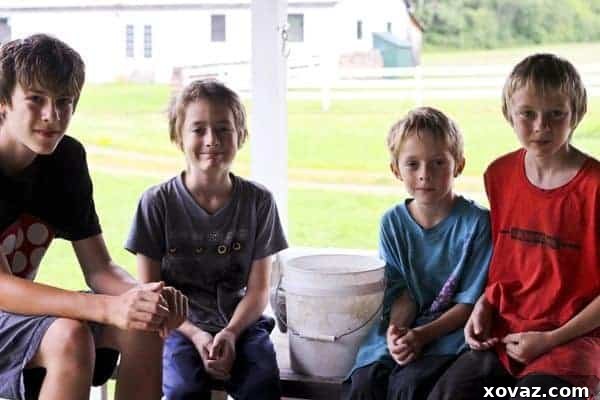 Five young boys gather curiously around a rustic bucket on a sunlit wooden porch, their expressions a mix of excitement and anticipation for the hidden treasures within. The scene captures a typical summer afternoon of outdoor fun and discovery.