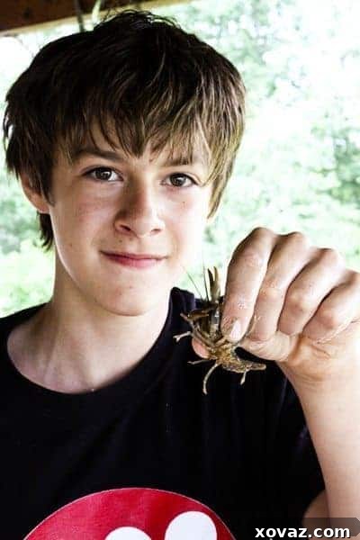 A young boy named Aidan, with a look of intense curiosity, gently holds a small crawfish in his hands. His focused expression captures a tender moment of connection and learning during a family's outdoor summer adventure.