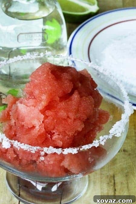 Watermelon Dreams: Frozen Treats & Refreshing Drinks 5 Watermelon Lime Sorbet elegantly served in a salt-rimmed dish