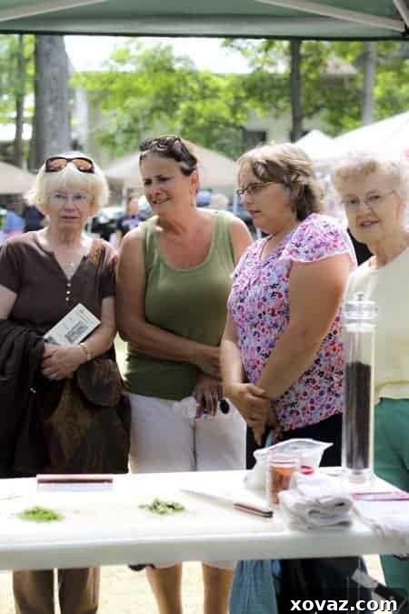 Making shakshuka for a crowd at Alfred Farmer's Market | www.foodiewithfamily.com