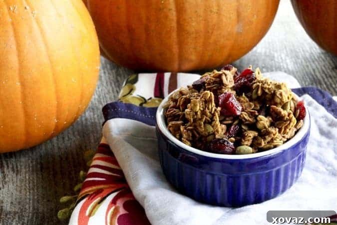 Fall Mornings Made Easy: Pumpkin Spice Granola 4 Homemade Pumpkin Spice Granola with dried cranberries, perfect for fall