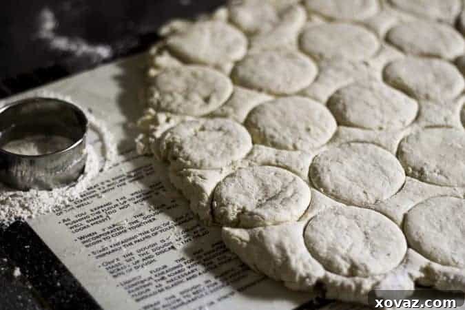 Buttermilk Biscuits perfectly cut and ready to be baked or frozen for later