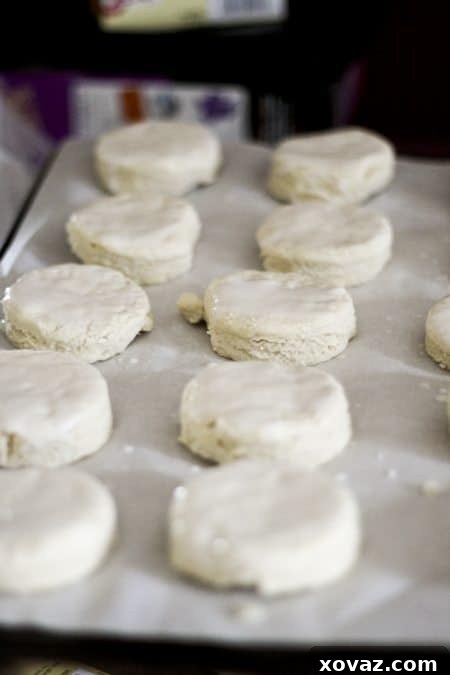 Raw buttermilk biscuits arranged on a baking sheet, ready for the oven
