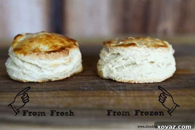 Comparison image: A fresh buttermilk biscuit next to one that was frozen before baking, showing their identical flakiness
