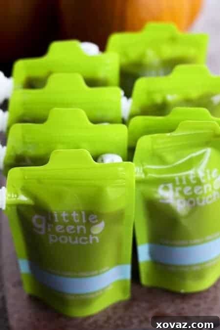 Homemade Squeeze Applesauce Pouches 2 Homemade Applesauce Pouches: Healthy, Budget-Friendly GoGo Squeez Alternative for Kids