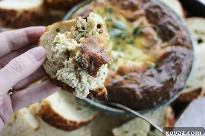 Baked Ricotta Appetizer, offering a warm and savory cheese experience with a light, airy texture.