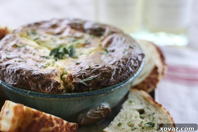 Freshly baked Ricotta Appetizer, golden brown and puffed, straight from the oven.