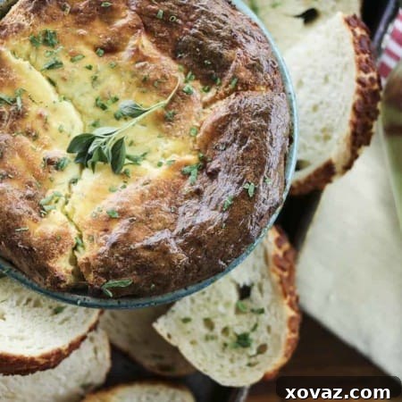 Baked Ricotta Appetizer, davinci pinot grigio, herb garlic toast, italian cheese souffle, red and white linen towel background
