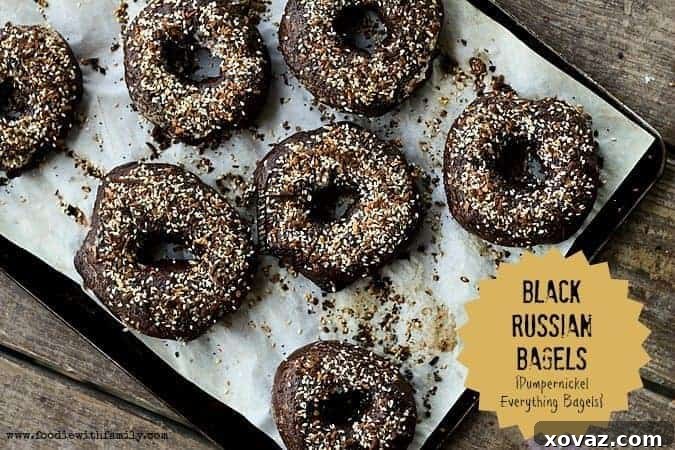 Black Russian Pumpernickel Everything Bagels 2 Delicious homemade Black Russian Bagels with a rich pumpernickel base and generous Everything Bagel topping, ready to be enjoyed.